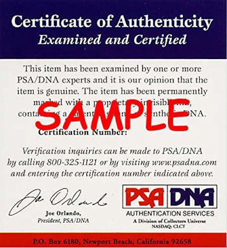 Alexis Texas PSA DNA CoA assinado 8x10 AVN Foto Autograph 10