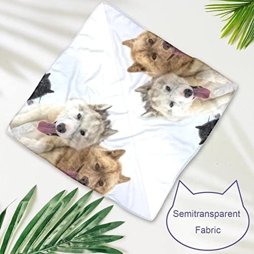 Bandanas de cães com padrão husky, 2 pacote Triângulo de cachecol de estimação lavável macio para cachorros e gatos de cães