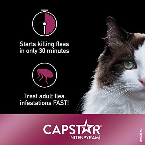 Capstar Fasting Flea Tratamento + PETARMOR PLUS PACO DE PACHOR DE PROTEÇÃO DO TICHO DE LONGA E PACHO DE TICK para gatos