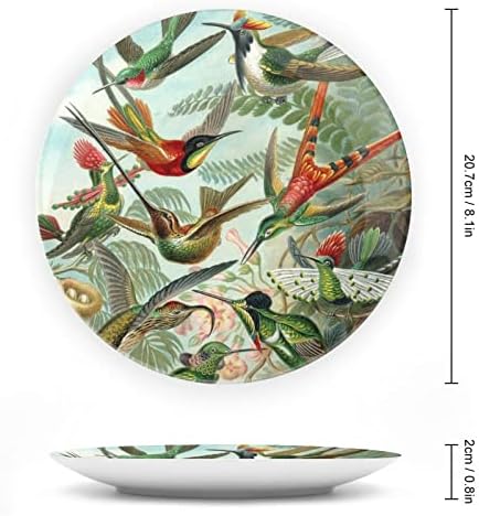 Hummingbird Pattern Bone China Decorativa Placas de Cerâmica Artesanato Com exibição Stand para decoração de parede de