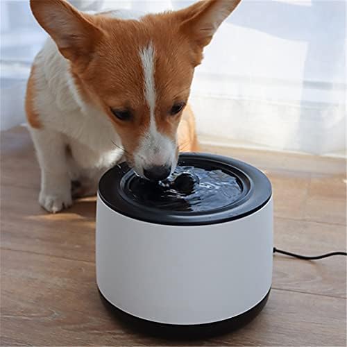 Slatiom gatos automáticos dispensador de água tigelas de animais de estimação BONDAS DE PETING BONDAS DOGAÇÕES AUTRIFICAÇÃO DO