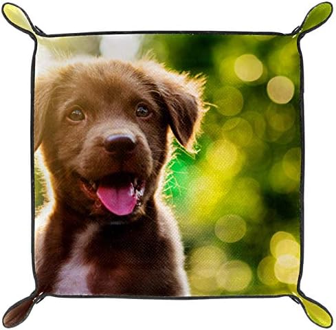 Cute Black Little Dog Happy Sunshine Organizer Bandejas de armazenamento Caixa de cabeceira Bandeja de desktop troca de tecla Carteira