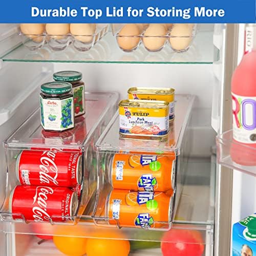 Recipientes de alimentos frescos de Puricon para pacote de geladeira com refrigerante de refrigerante de 2 pacote pode o organizador