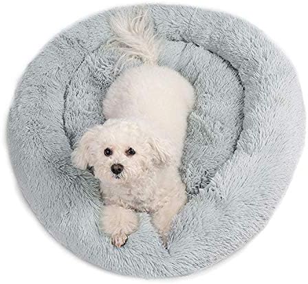 Piso de tapete de cachorro que compra de sonho | Cama de cachorro redonda camas de estimação longa e luxuosa para