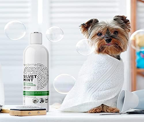 Nexderma Natural Colloidal Medicate Pet Shampoo para cães e gatos - Hipoalergênico sem lágrimas, sabão sem óleo de coco e hortelã,