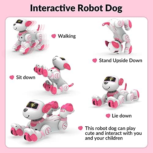 STEMtron Remote Control Robot Dog e RC Stunt Car Brinques para crianças meninos e meninas