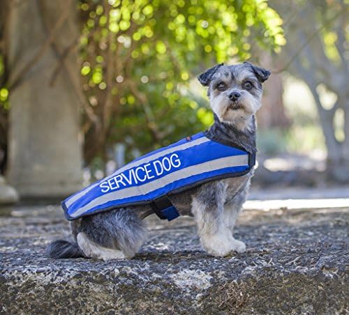 Dexil Limited Service Dog Blue Harm Dog Coats S-M M-L L-XL A lã refletiva à prova d'água forrada impede acidentes, alertando os outros