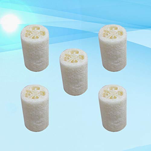 Survedor de corpo doiTool 5pcs 10cm Cozinha picada de cozinha esponjas esponjas escova de panela lavagem de lavagem de lavagem de