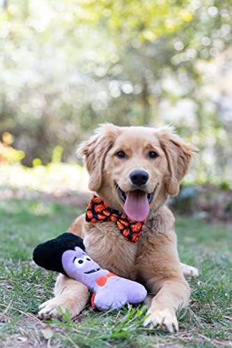 Huxley e Kent Bow Tie para animais de estimação | Plaid-O-Lantern | A fixação do colarinho de gravata borboleta de velcro de