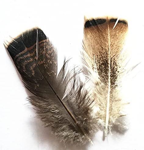 100pcs/lote de peru-peru plumage penas de águia de 10 a 15 cm/4-6 polegadas penas de faisão para artesanato plumas de carnaval plumas
