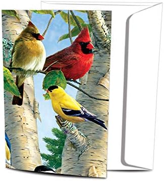 Saudações sem árvores Econotas 12 Contagem de pássaros favoritos de todas as ocasiões de notecard com envelopes, 4 x 6 polegadas