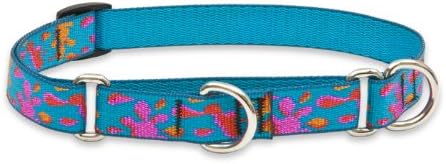 Lupinepet Originals 3/4 Wet Paint 14-20 Collar Martingale para cães médios e maiores