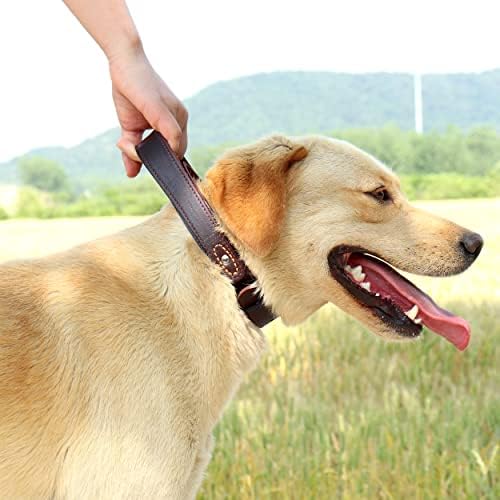 Artista de animais de estimação Genuine Leather Dog Walking & Training Collar Dog-Dog Handle Medi-& Large Dogs Neck