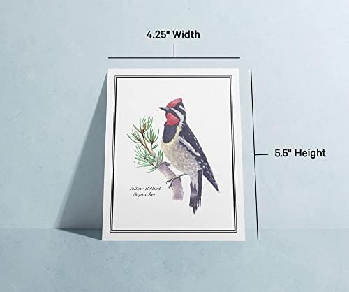 Papel de galhos - American Birds Note Cards - Conjunto de 12 cartões de felicitações em branco com envelopes -