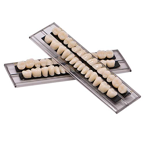 Mibiciri 56pcs dental dentes de dentes acrílicos sintéticos dentes falsos para o Halloween Horror Prop 23 A2