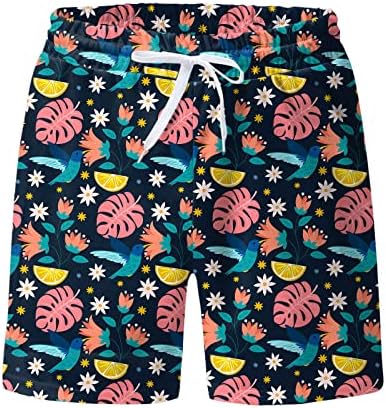 Shorts para homens shorts soltos fit engraçado impressão vintage shorts de gabinete com bolsos moda moda de praia de praia rápida