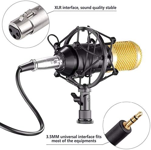 FZZDP Kit de microfone de condensador profissional: microfone para computador+montagem de choque+tampa de espuma+cabo