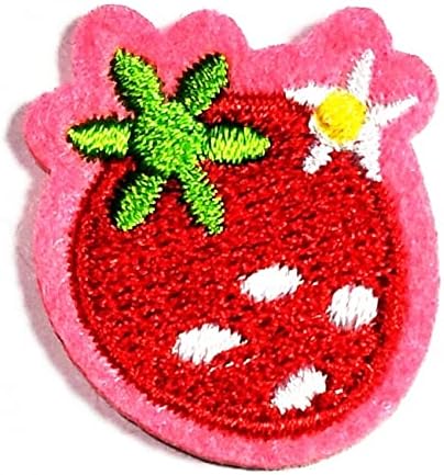 Kleenplus 2pcs. Mini fofo bonito de morango de frutas de frutas bordadas ferro bordado em costura em crachá para jeans