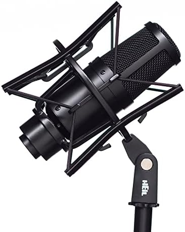Heil Pr 30 Dinâmico XLR -Microfone para podcast de vídeo, som ao vivo, instrumentais, gravação e transmissão, resposta