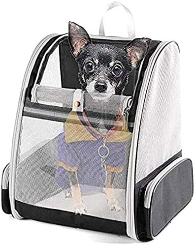 Mochila de transportadora de animais de estimação para cães pequenos e gatos malha de malha ventilada Projeto de