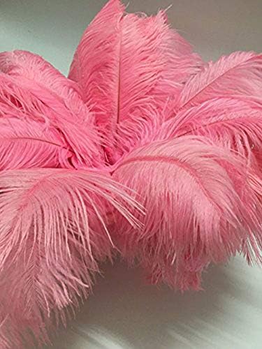 Cenfry 60pcs Avestruz Feathers 18-20 polegadas Plumes para Centropes de Casamento Decoração em casa