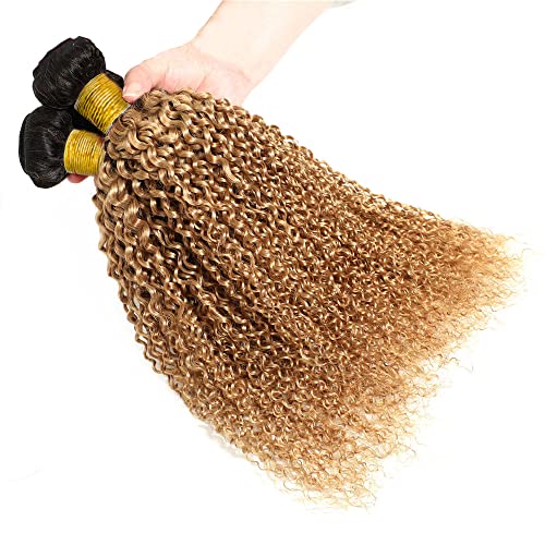 Ombre pacote de cabelo brasileiro 3 1b27 Cabelo de onda encaracolada 3 Extensões de cabelo de pacote de pacote Talha para mulheres