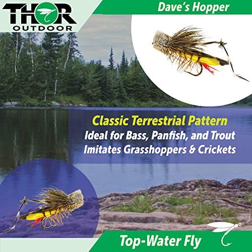 Conjunto de pesca com mosca seca de Dave - 6 PCs, Tamanho do gancho #10 - Grasshopper terrestre de água superior para baixo para baixo, panfish, truta por Thor Outdoor
