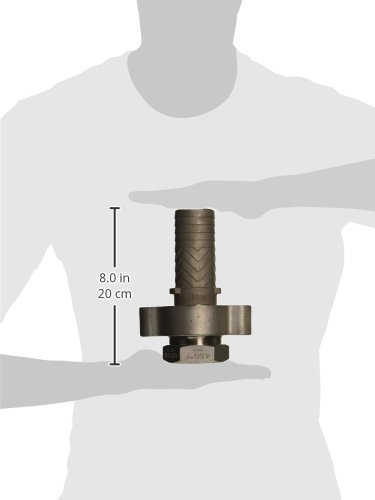 Dixon Valve Rwf81 Aço inoxidável 316 Ajuste de chefe de arruela, fêmea completa, ID da mangueira de 2