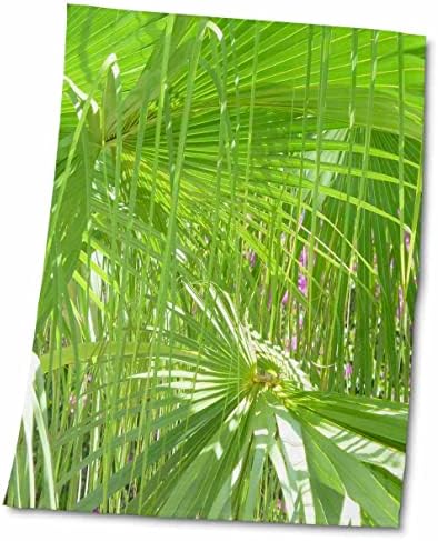 3drose Florene Macro Plant - Palm Pretty - Toalhas