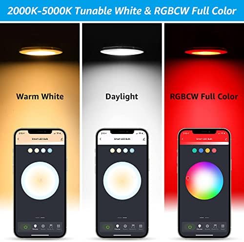 Torchstar PAR30 WiFi Smart Spotlight Bulbs, RGB LED Color Mudança Luz, 10W, Google Assistant Alexa Compatible, 60W equivalente,