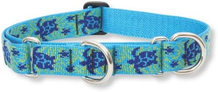 Lupinepet Originals 1 Turtle Reef 15-22 Collar Martingale para cães médios e maiores