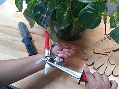 Ironwood Tool Company Redução rápida, Never Fail Lock, Small 8 ”Bypass Pruner Cutter IW1412 com SAP GROVE