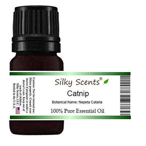Óleo Catnip Essential puro e natural - 5 ml