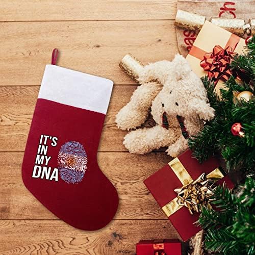 Está na minha bandeira da Argentina DNA meias de Natal, meia árvore de Natal, ornamentos pendurados para férias de lareira