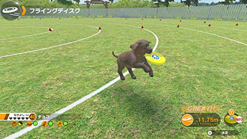 Imagineer Little Friends Dogs & Cats Nintendo Switch Region Versão japonesa grátis
