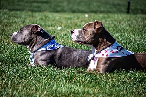 Bandanas para a vida, cães de resgate, bandana de cachorro, cores brilhantes