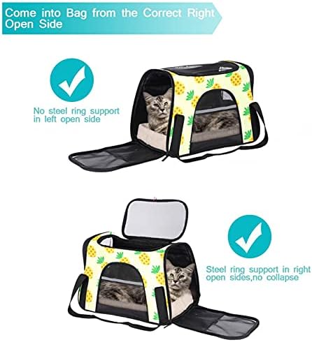 Portador de animais Peter Penady Pettern Soff-lateral Pet Travel portadores para gatos, cães cachorros conforto portátil portátil Pet