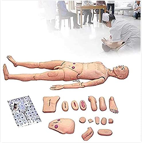 NiHe Modelo de Enfermagem Multifuncional de Mannequim Manikin, para o simulador de operação de ressuscitação de